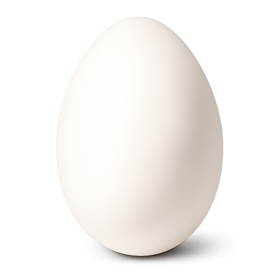Whole Egg