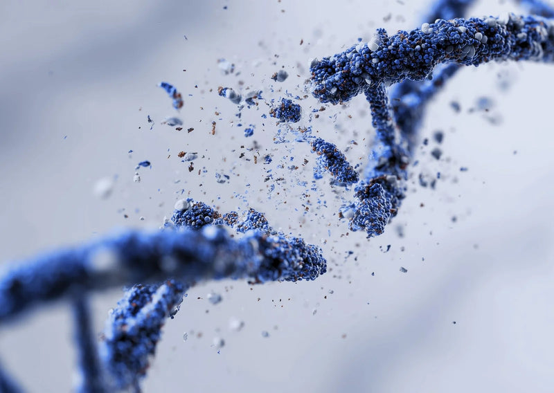 Immunocal vs Liposomal Glutathione: What Works Best?
