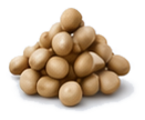 Soy Protein